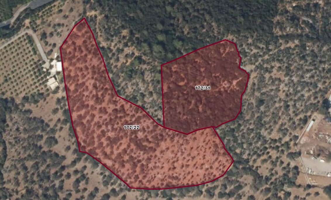 Kültür ve Turizm Bakanlığı’ndan Dev Turizm Hamlesi: Bodrum ve Antalya'daki Denize Sıfır Araziler Yatırımcıların Gözdesi Olacak 6